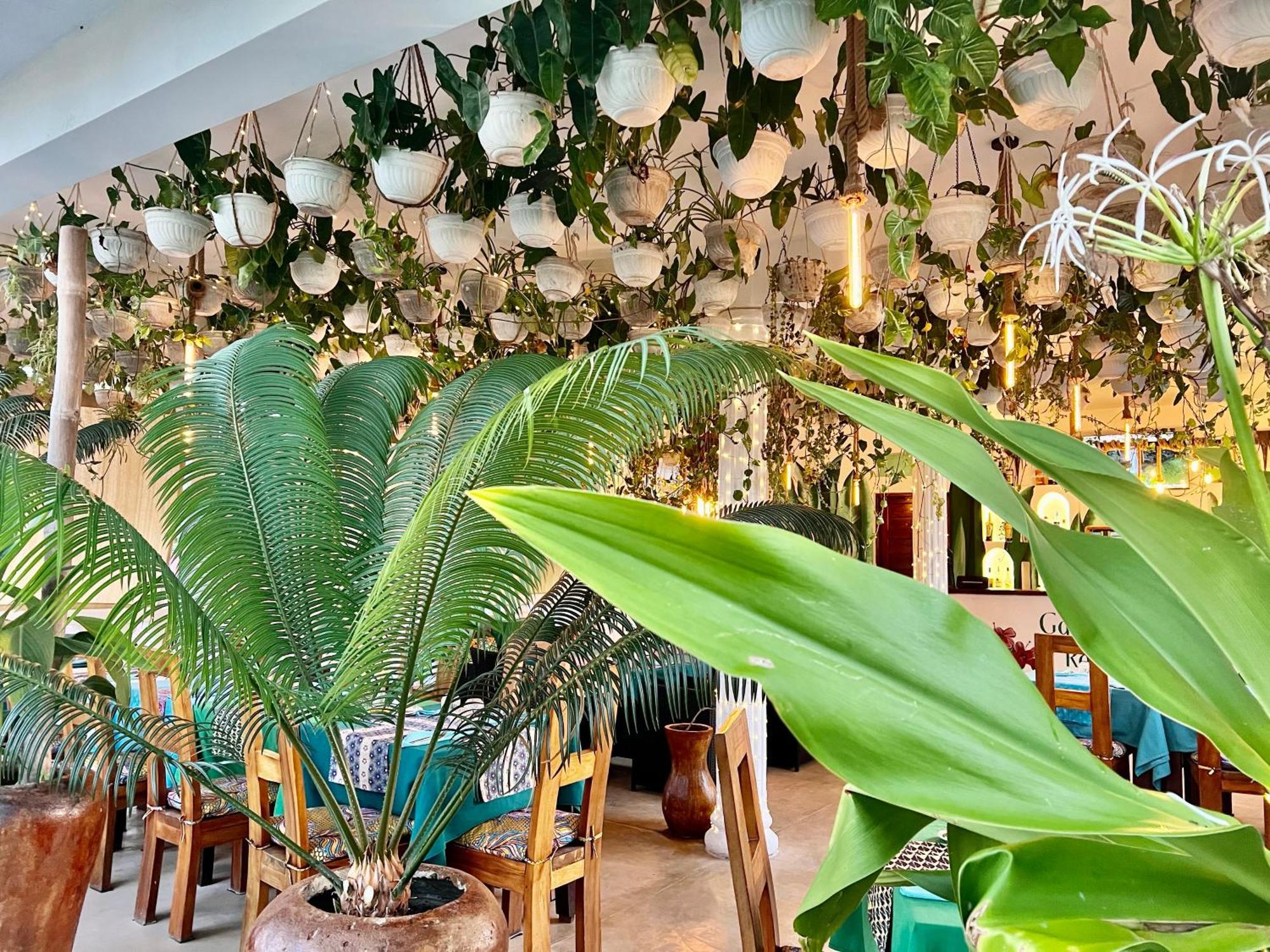 Gadea Boutique Hotel& Gadea Garden Italian Restaurant (Adults Only) Jambiani  Eksteriør billede