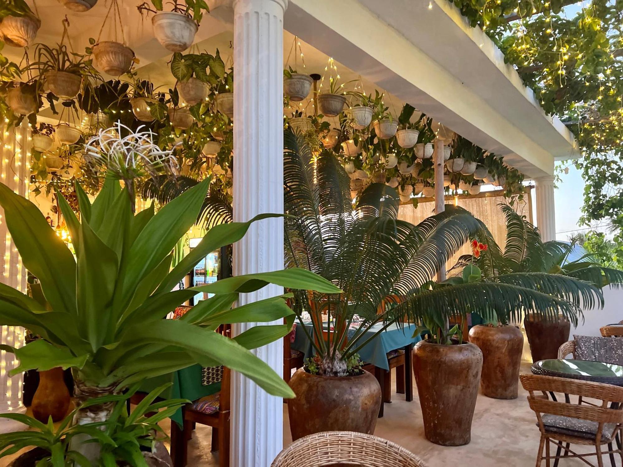 Gadea Boutique Hotel& Gadea Garden Italian Restaurant (Adults Only) Jambiani  Eksteriør billede